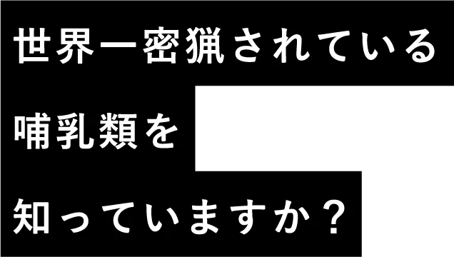 世界一密猟されている哺乳類を知っていますか？
