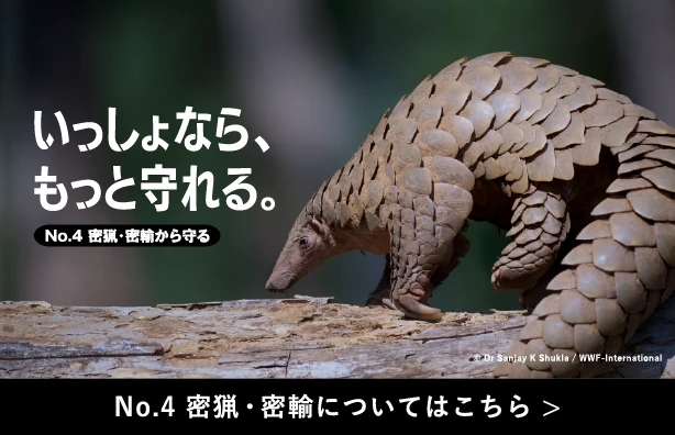 No.4  密猟・密輸についてはこちら