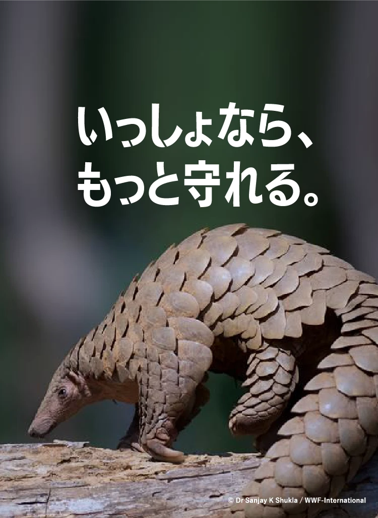 いっしょなら、もっと守れる。