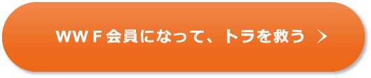 WWF会員になって、トラを救う