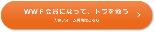 WWF会員になって、トラを救う 入会フォーム画面はこちら