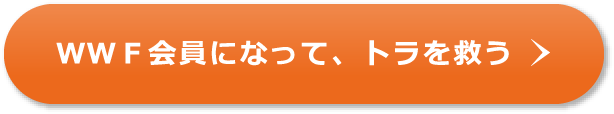 WWF会員になって、トラを救う