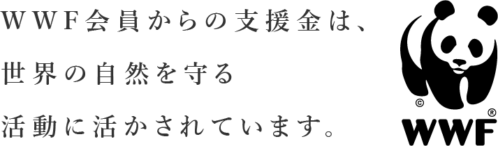 31.	WWF会員からの支援金は、世界の自然を守る活動に活かされています。