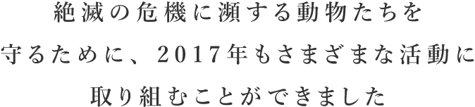 絶滅の危機に瀕する動物たちを守るために、2017年もさまざまな活動に取り組むことができました