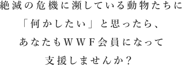 絶滅の危機に瀕している動物たちに「何かしたい」と思ったら、あなたもＷＷＦ会員になって支援しませんか？