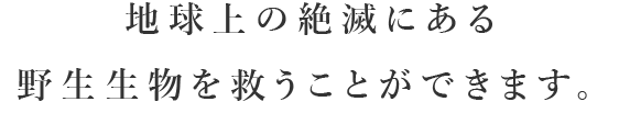 1000円/月で地球上の絶滅にある野生生物を救うことができます。