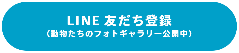 LINE友達登録（動物たちのフォトギャラリー公開中）