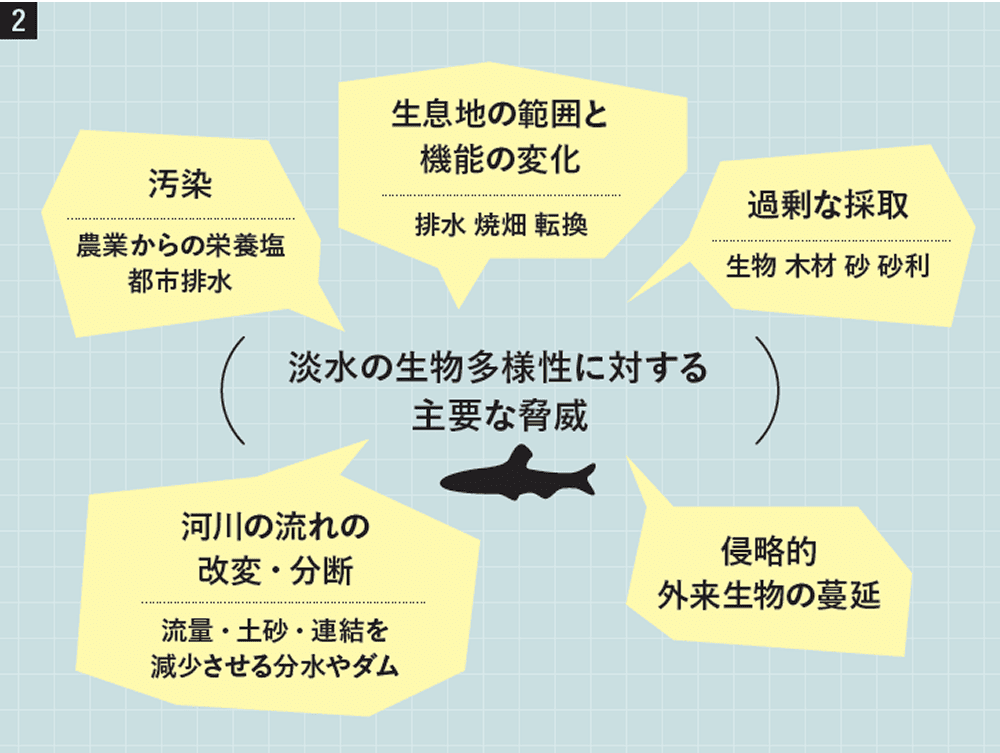図2 淡水の生物多様性に対する主要な脅威 図版