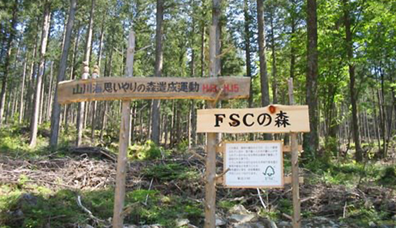 東白川村にあるFSCの認証を受けた森。ここでは森を守りながら木材を生産する取り組みが行なわれています。