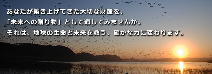 あなたが築き上げてきた大切な財産を、「未来への贈り物」として遺してみませんか。それは、地球の生命と未来を救う、確かな力に変わります。