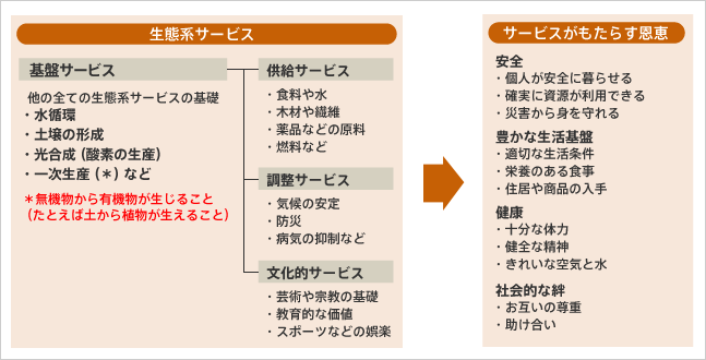 私たちが受けている生態系の恩恵の詳細図