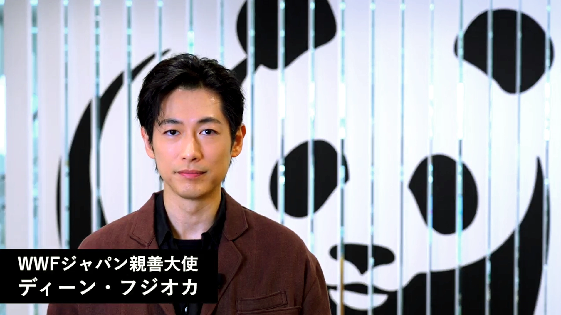 WWFジャパン親善大使 ディーン・フジオカさんよりメッセージ