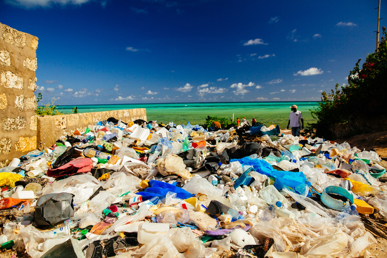 海洋プラスチック問題について Wwfジャパン