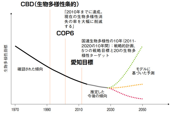 生物多様性の損失を表す予想図。今後の積極的な取り組み次第で、下降線を上昇線に変えることができる可能性を示しています。