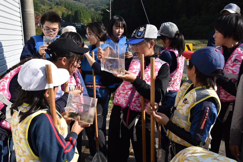 魚を観察する子どもたち。魚はこの後、川に戻しました。