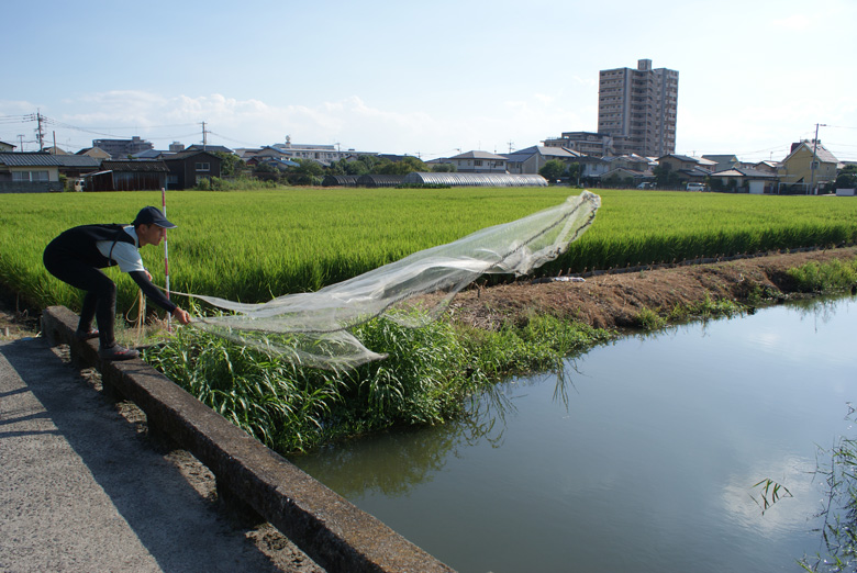 魚類調査の様子。ウェットスーツを着込んで、水路を潜ることもあります。