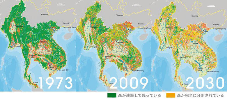 1973年から2009年の36年の間で、連続した森は大きく減少。2030年には、ほとんどの森が分断されている予想となっています。