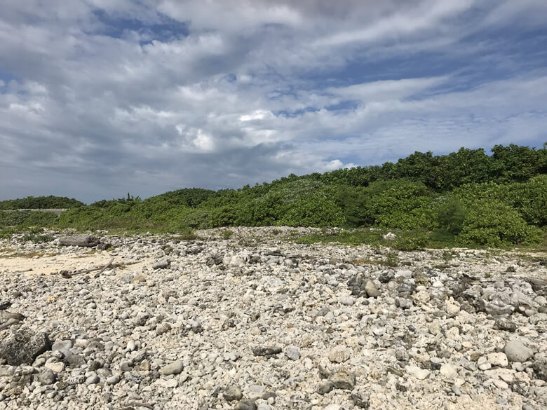 川から流れ込む土砂が形成する本州などの砂浜とは異なり、サンゴ礁の海の砂は、その大半が砕けたサンゴの骨格や貝殻など。浜や砂が白く見えるのは、そのためです。