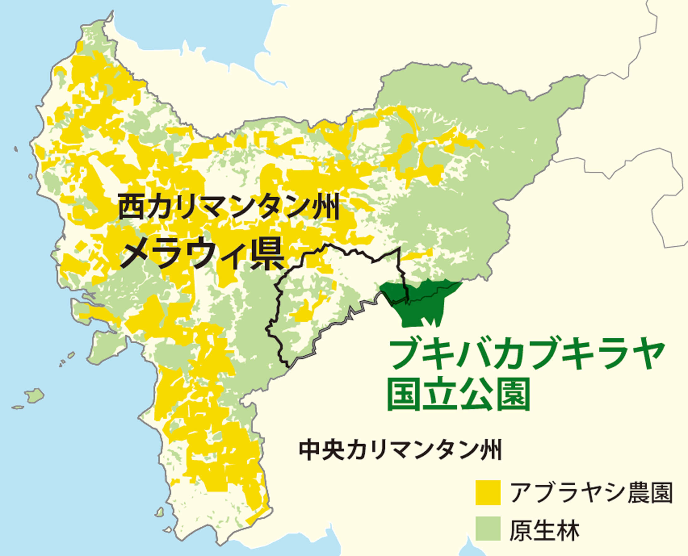 西カリマンタン州は、カリマンタン島内(ボルネオ島内のインドネシア領)で、一番パーム油生産が盛んな地域。