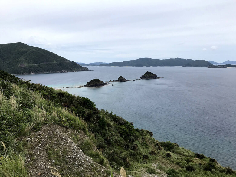 大島海峡はWWFジャパンが2009年に作成した、南西諸島全域の生物多様性重要地域の評価情報(BPAマップ)でも、最も重要性が高いと評価された海域の一つ。<br>また西古見対岸の加計呂麻島・実久も、環境省のモニタリングサイト1000で、優良なサンゴの生息地と判定されています。<br>