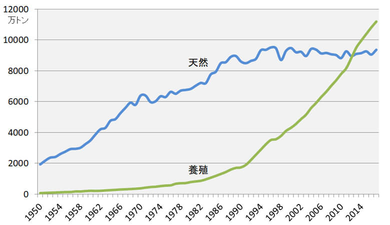【図1】 世界の水産物漁獲量(出典:FAO Fishstat)<br>天然の水産物の漁獲量はすでに1990年代で頭打ちとなり、代わって養殖による生産量が増加してきている。