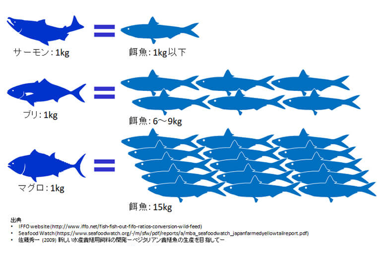 【図9】 養殖魚(サーモン、ブリ、マグロ)の育成に必要とされるイワシ等の餌魚量(Fish-in Fish-out)<br>マグロはサーモンと比較して15倍以上の餌魚量を必要とする。<br>