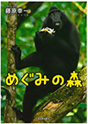『めぐみの森』