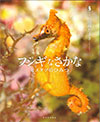『フシギなさかな　ヒメタツのひみつ』