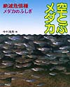 『空とぶメダカ』
