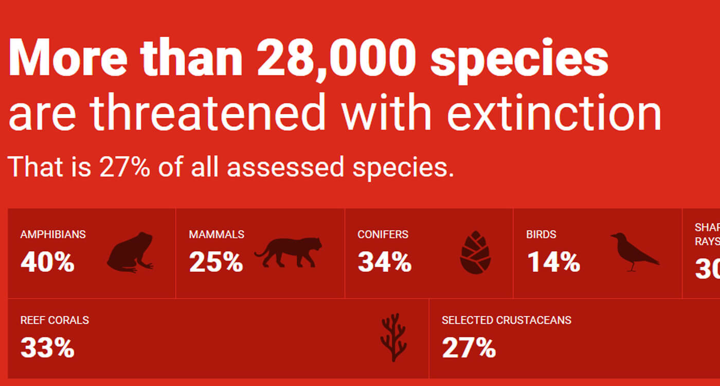 19年 レッドリスト 更新 世界の絶滅危惧種は28 338種に Wwfジャパン