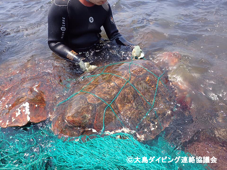 救助の様子。魚網には生き物の骨のようなものも絡まっていたそうです…。