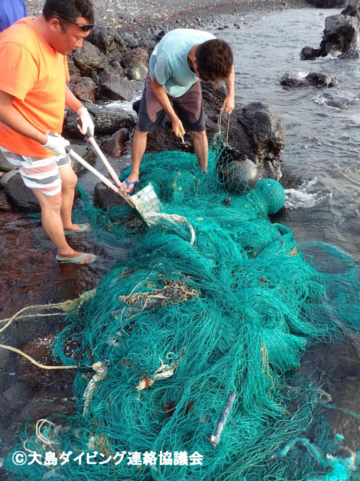 アオウミガメを救出後に魚網を浜へ移動させている様子。浮子にはムール貝が付着しており、しばらく海を漂っていたことがわかります。
