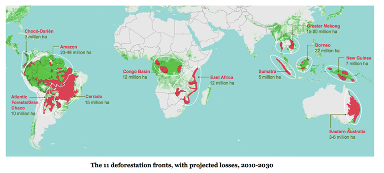 図 1 森林減少の最前線 (出典:WWF報告書「世界森林資源評価2015」)