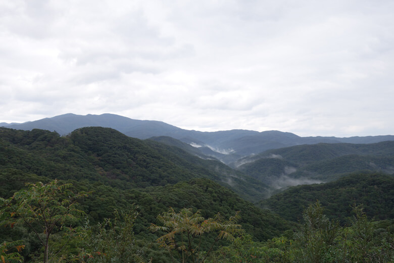 奄美大島は世界自然遺産の登録候補地にもなっています。