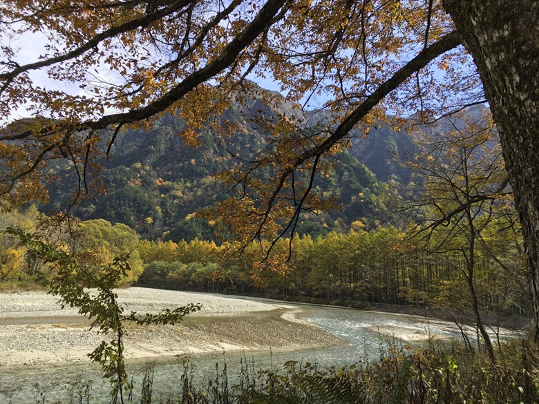 紅葉狩りも森との付き合い方の一つ。(上高地にて)