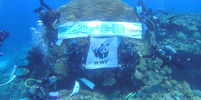 海中集合写真