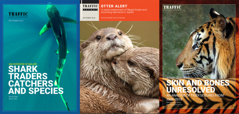 CoP18に関連する野生生物取引に関するTRAFFICの調査報告例。WWFとTRAFFICは、直接CoPに参加する以外にも、ワシントン条約の実施に関連する取り組みを世界各所で支援している。