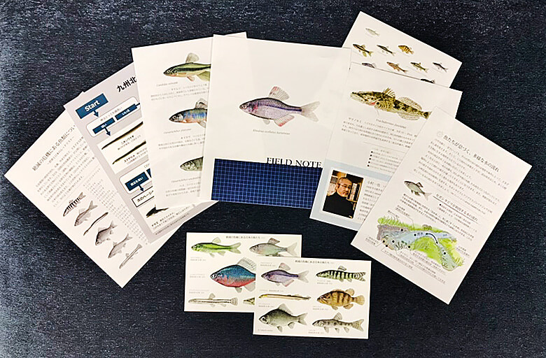 お魚好きのメンバーを中心に、ご支援お願いのチラシ、特設ページ、お礼のステッカーやノートなどを作成。先月やっと、開始にこぎつけました。