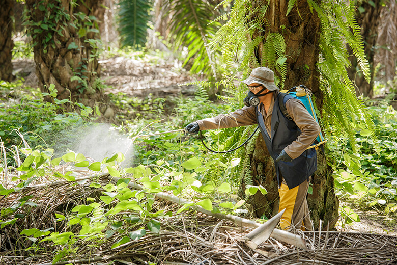 毒性の強い除草剤を撒く際は、このように防具を付ける必要がある。しかし劣悪な労働環境下で、防具も与えられず、正しい使い方を知らされずに撒いて失明した人もいる。