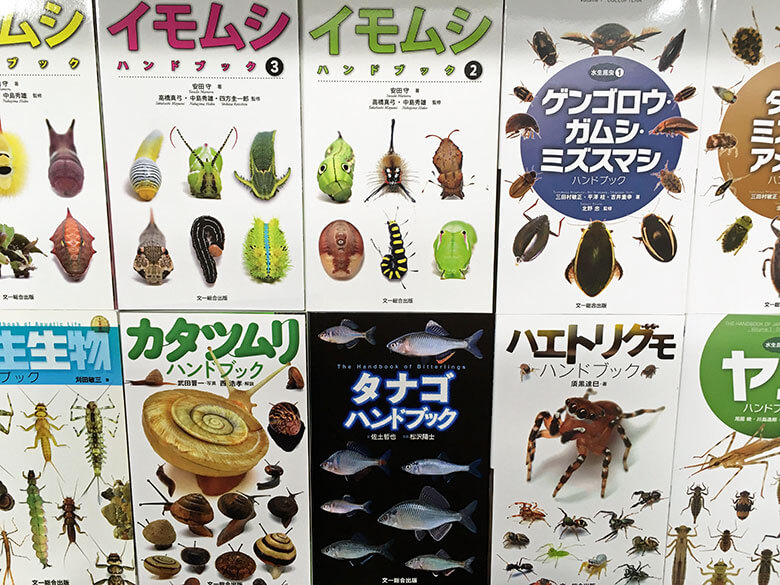 文一総合出版のハンドブックシリーズ。実に多くの種について、出版されています。<br>きれいな写真と詳細な説明で、ながめるだけでも楽しい図鑑です。
