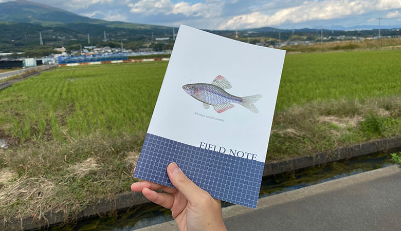現在実施中のノベリティである「野外ノート」。実際に使ってみました。採集できた種類や日時・場所をメモするのに丁度良いです。表紙は防水加工してあるので、水がはねても大丈夫。