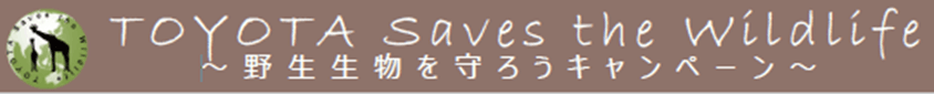 TOYOTA Saves the Wildlifeキャンペーン
