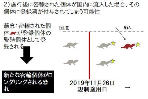種の保存法」における「国際希少野生動植物種」の登録制度の課題