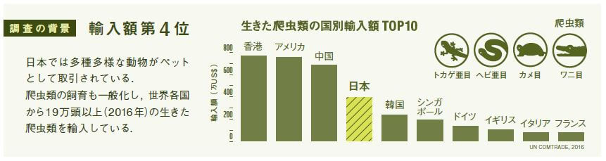 TRAFFICレポート（2018年）「日本における爬虫類ペット市場の現状」