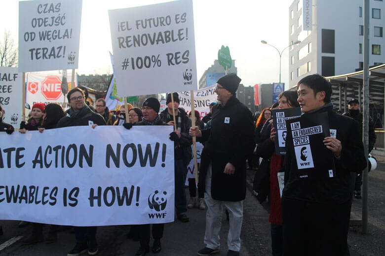 WWFは気候変動枠組条約会議にオブザーバー参加が認められている環境NGOのひとつ