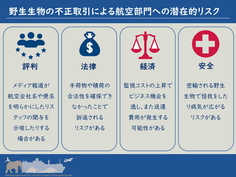 航空業界における野生生物の違法取引によるリスクについて:<br>違法取引が横行することで、企業が滞在的に受けるリスクが多数存在する。特に生きた動物の取引では、現場で働く職員に直接的な被害(感染症や怪我)が及ぶことが想定される。<br>