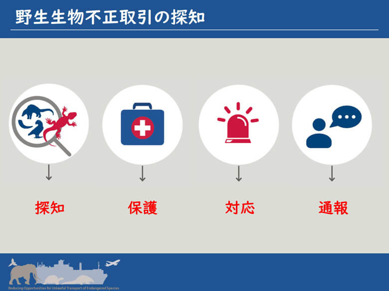 リスクを回避する上でも重要となる4つのアクション:<br>空港で働く職員が違法取引撲滅において貢献できることでもあり、税関など適切に対処できる人へ報告・通報することが重要なカギとなる。<br>