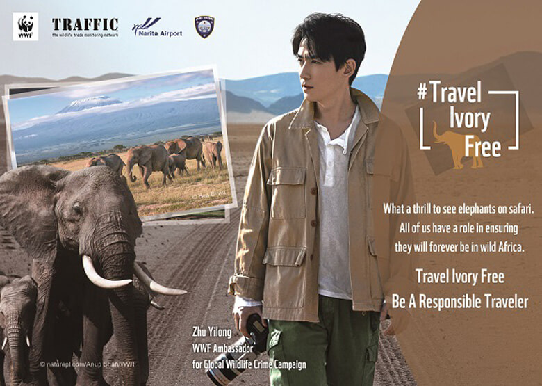 2020年のキャンペーン大使Zhu Yilongさん(中国の俳優)。『Travel Ivory Free』というキャッチコピーを用いて「責任ある旅行者になりましょう」と呼び掛けています。特に東京税関と成田国際空港(NAA)のサポートにより、セキュリティエリアや成田空港ビル内での掲示も実施していただいています。