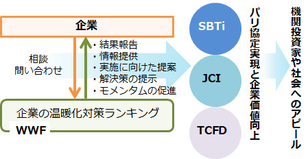 パリ協定実施と企業価値向上から社会への波及効果イメージ