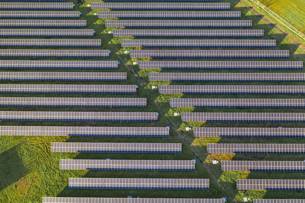 太陽光発電は時として大規模な土地改変を伴う